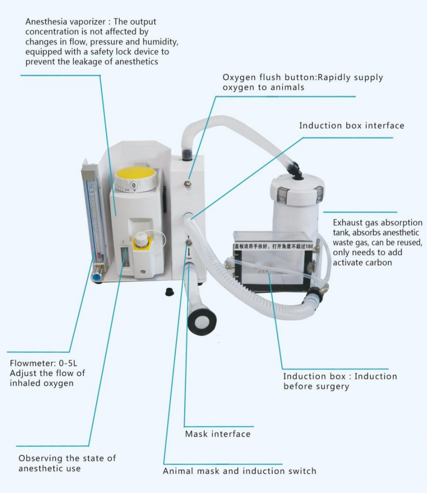 3c6a3389526227e02b96b4f5965268b0