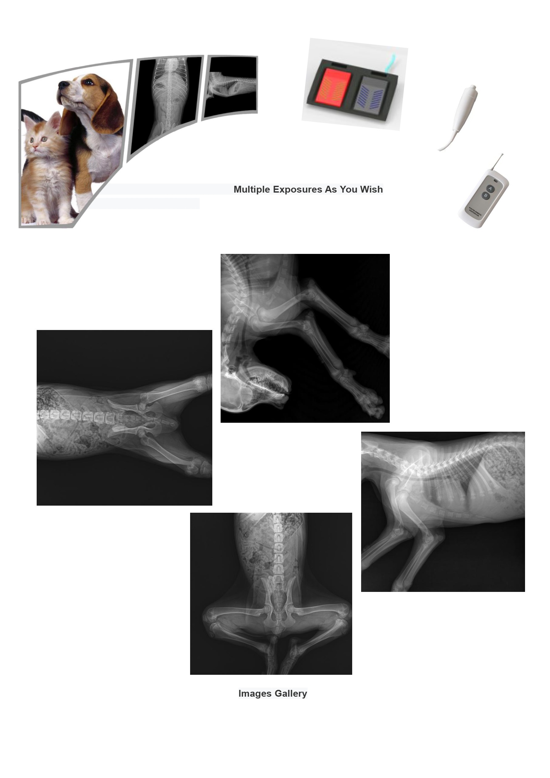 LXR-220 200mA мал эмнэлгийн рентген аппарат (аналог)-4
