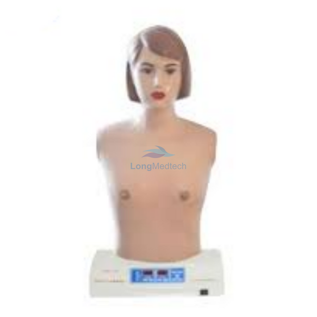 LZB-621 Medical Simulation Palpation Model Teaching Manikin Simulator