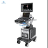 LM-T8 3D/4D Color Doppler Ultrasound Machine