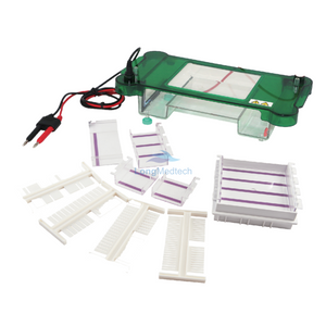 LSR-2 Horizontal Electrophoresis Tank