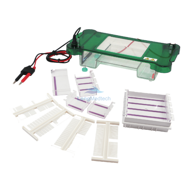 LSR-2 Horizontal Electrophoresis Tank