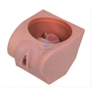 LZB-502 Advanced Female Contraceptive Practice Model Manikin in Gynecology Teaching