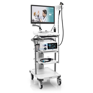 Sonoscape V-2000 Veterinary Endoscopy System