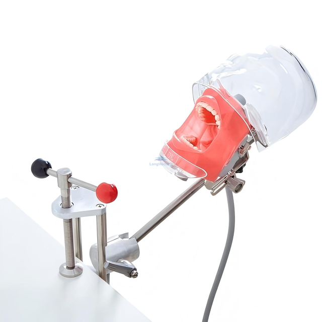 LDSS-51 Dental Training Manikin