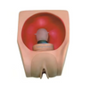LZB-502 Advanced Female Contraceptive Practice Model Manikin in Gynecology Teaching