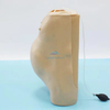 LZB-FW2 Advanced Electronic Pregnant Women Examination Manikin