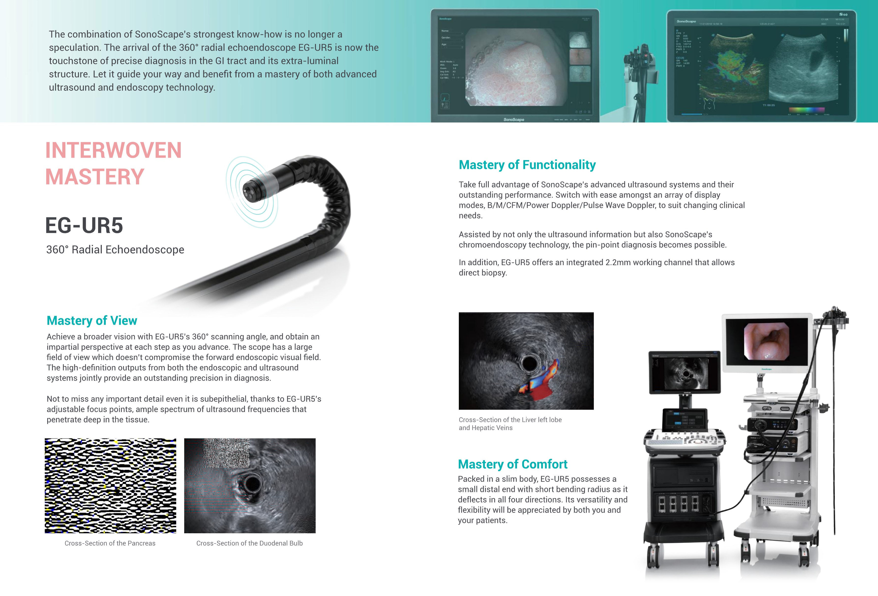 Felxiable Endoscope System general -C-8