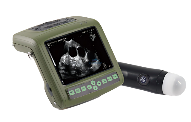 LKX11P Full-digital Mechanical Sector Ultrasound Scanner