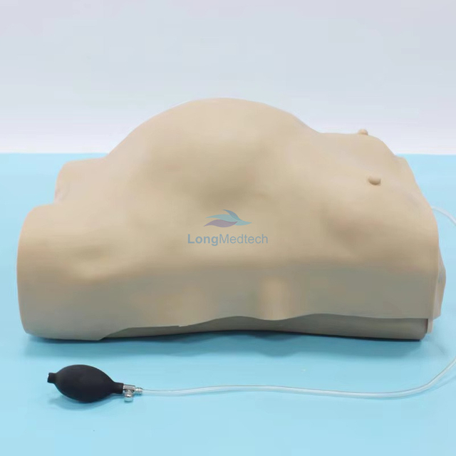 LZB-FW2 Advanced Electronic Pregnant Women Examination Manikin