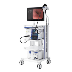 AQ-200 Video Endoscopy System