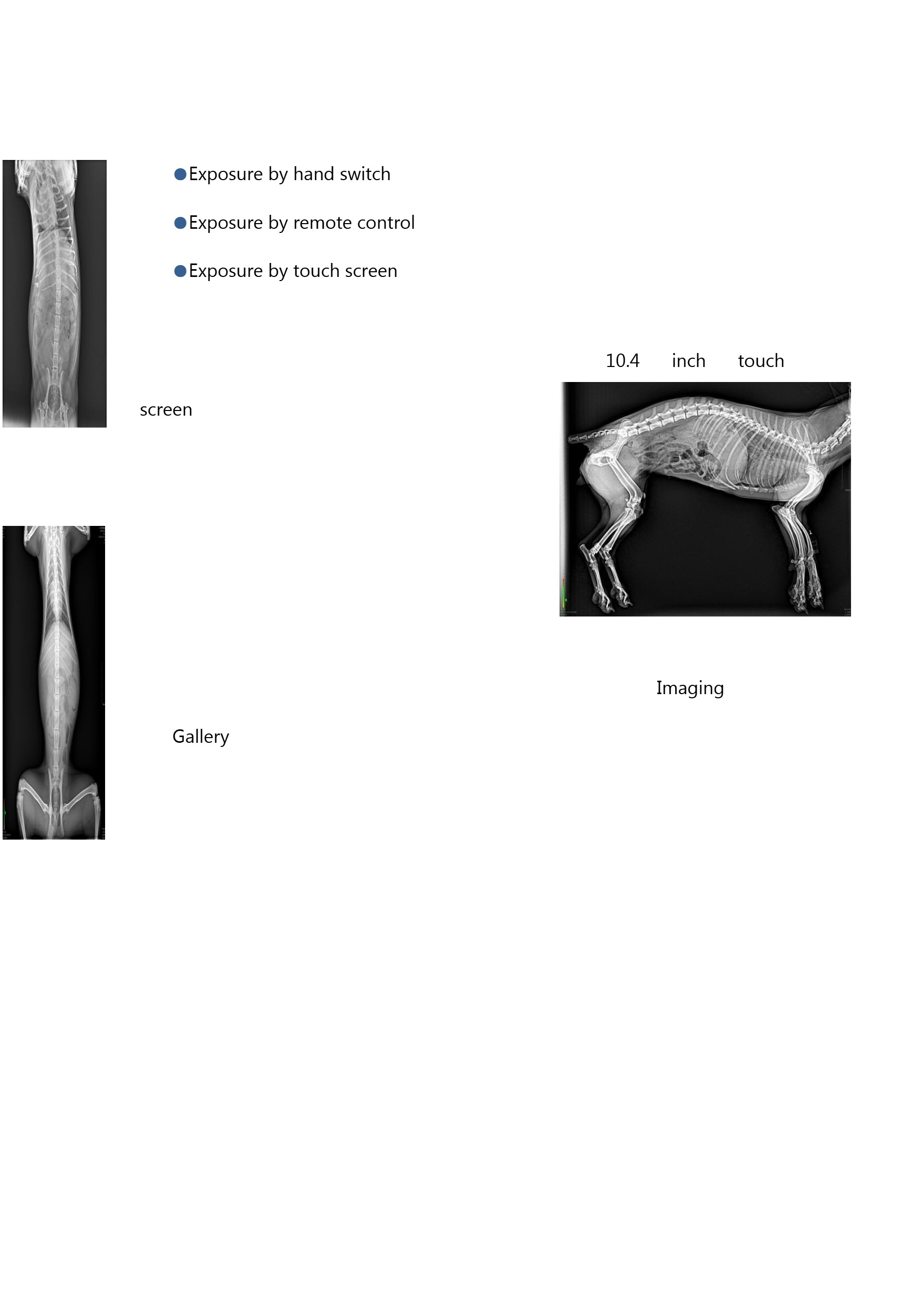 LXR-05 Portable X-ray Machine For Veterinary (Analogue)-5