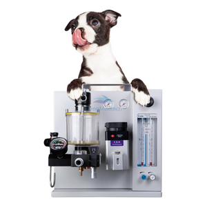 LVP-500 Animal Anesthesia Machine