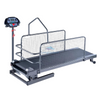 LWYC-130F Veterinary Use Treadmill