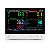 LLP-2116 LLP-2133 AI Patient Monitor