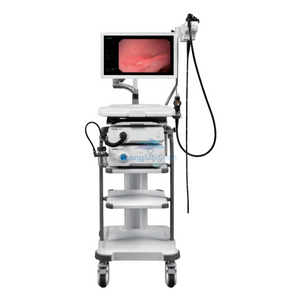 HD-350 High Definition Video Endoscopy System