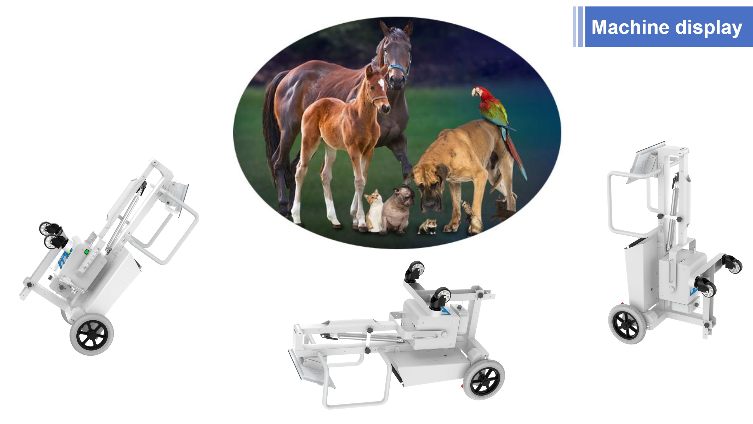 LXR-118 Portable X-ray Vet Horse With Wireless Flat Panel Detector-4