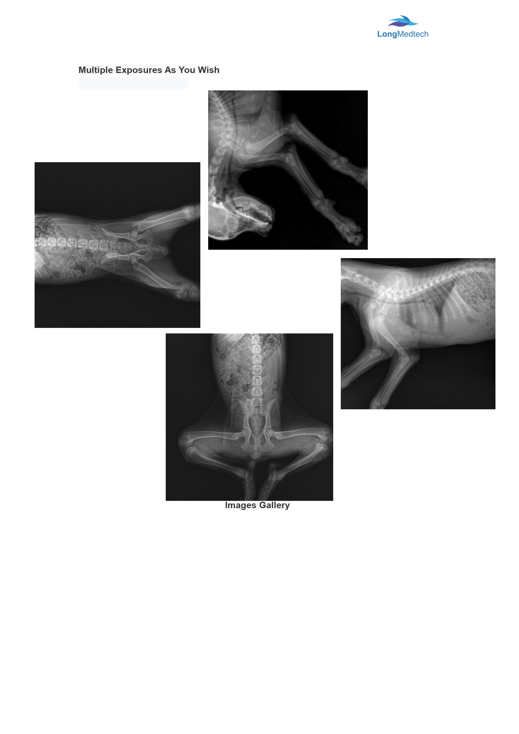 LXR-260 320mA Digital X-ray System for Veterinar-5