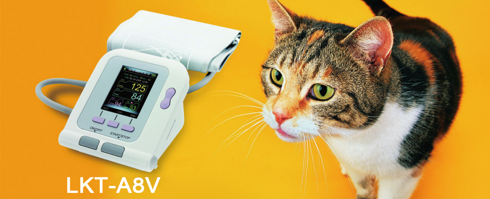 d74e46f1e9875d18bb592a2d6e96e5d4