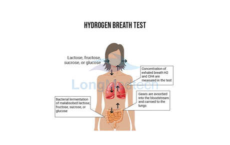 What to Expect During an H2 Breath Test.png