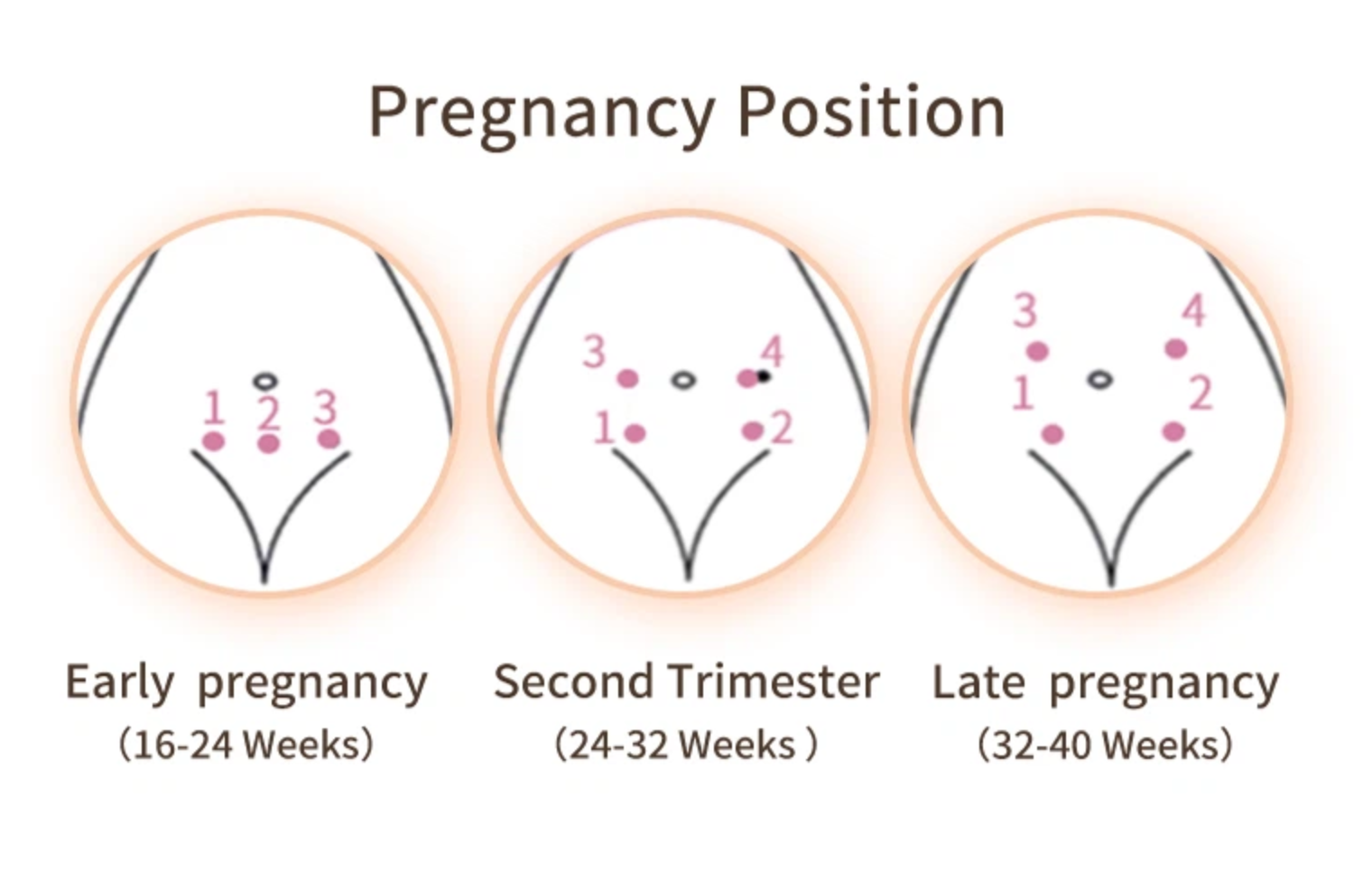 3e8fed3ad50e395908d54f3fde8bbdad