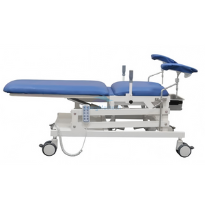 LPL-V1N Electric Gynecological Examination Bed