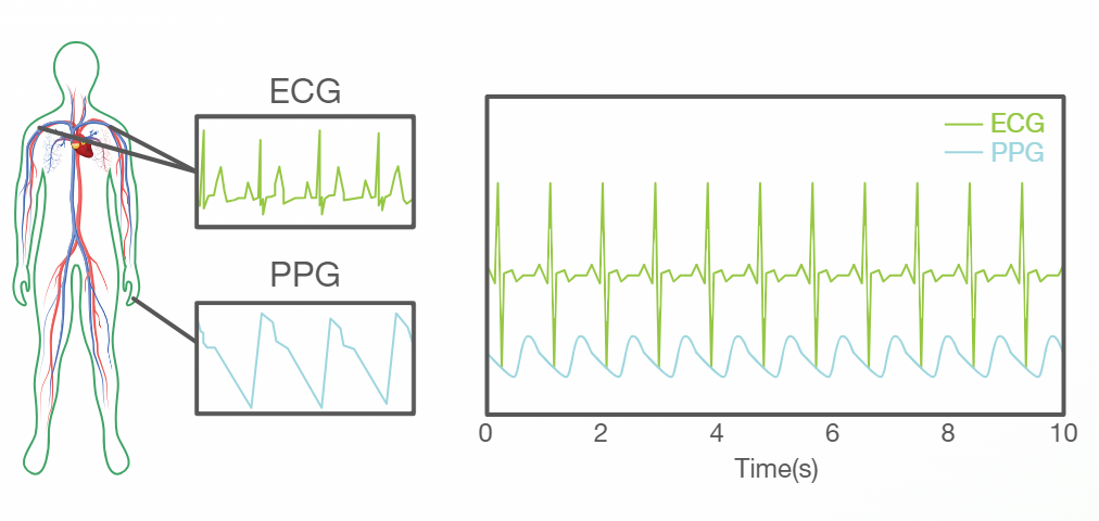 c8a93011063d297d6d7d80ac9fdb0f84