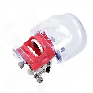 Medical Science Dental Simulator