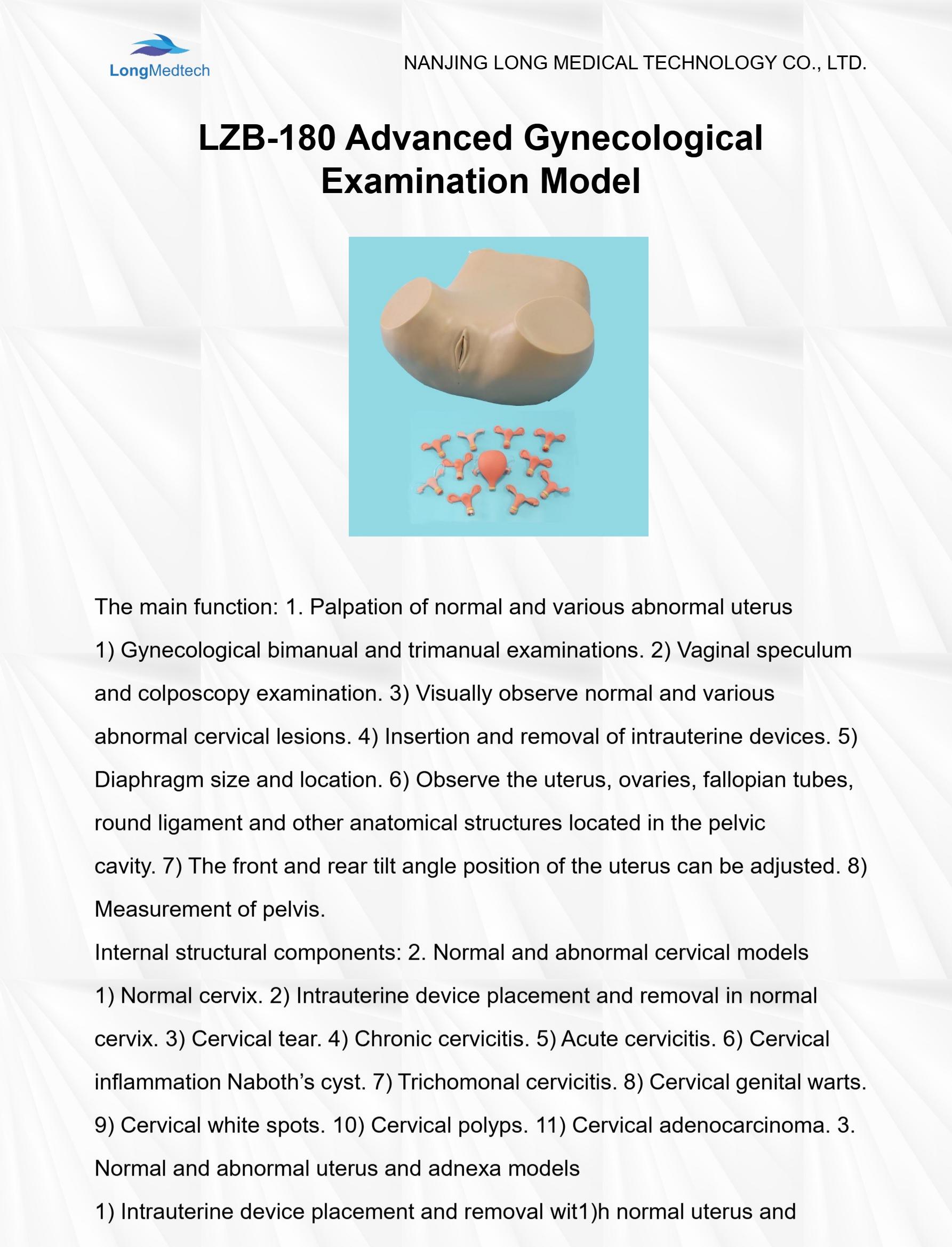 LZB-180 Advanced Gynecological Examination Model-1