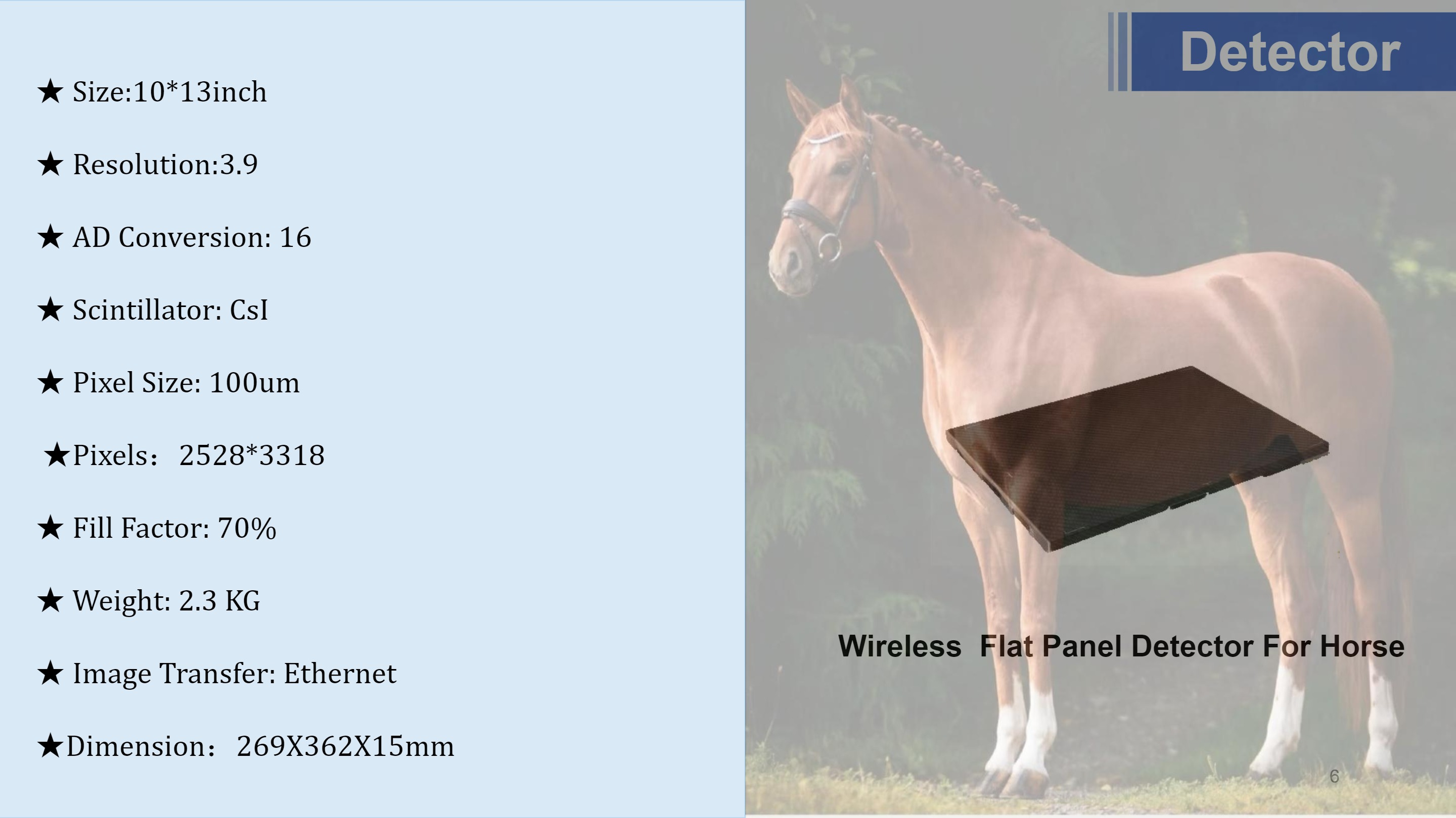 LXR-118 Portable X-ray Vet Horse With Wireless Flat Panel Detector-6