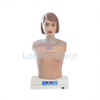 LZB-621 Auscultation Simulator Manikin