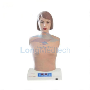 LZB-621 Auscultation Simulator Manikin