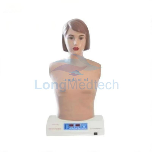 Mannequin de simulateur d'auscultation LZB-621