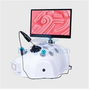 LZB-331 Endotrainer Laparoscopic