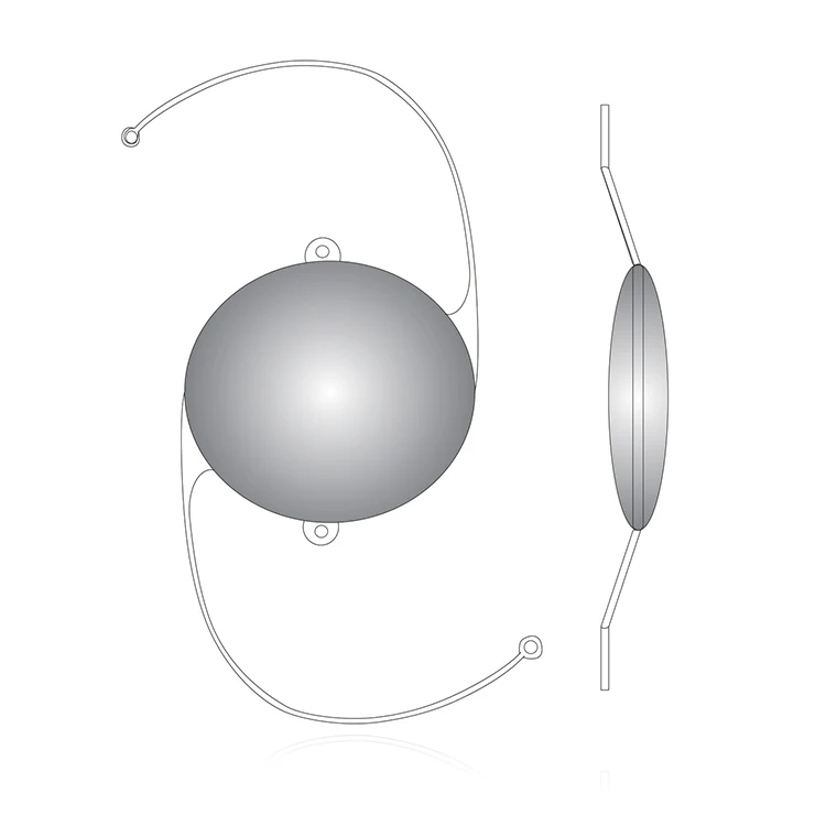 PMMA_IOL_Lens_Surgical_51d3f0c1-d363-417f-baa5-390546b0734c