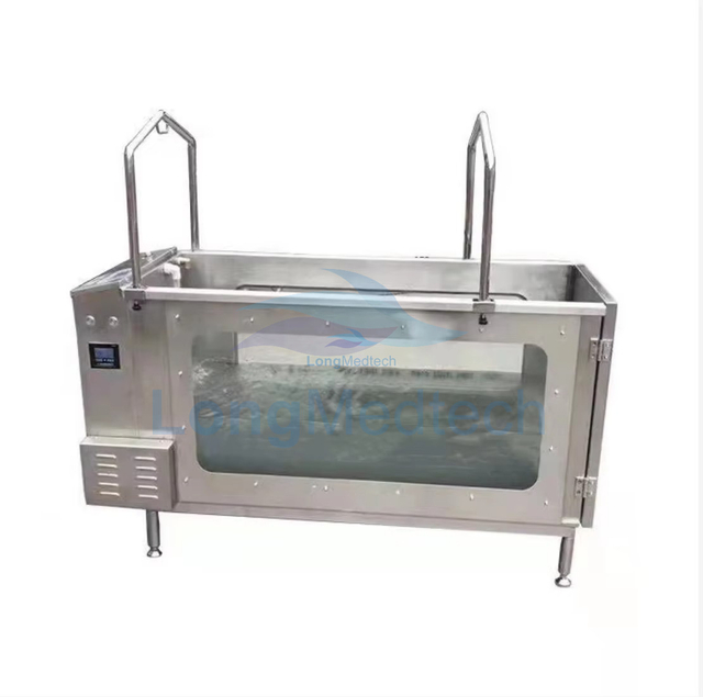 Water Treadmill for Dogs and Horses