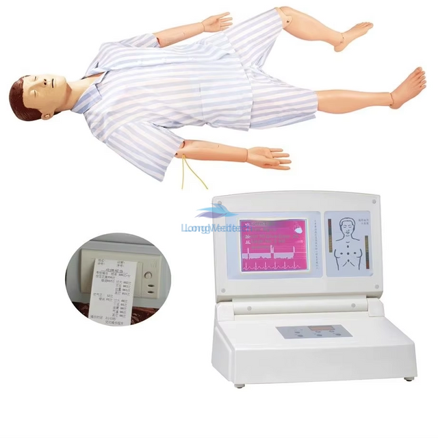 LZB-171 Cardiopulmonary Resuscitation (CPR) Training Manikin