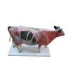 LZB-692 Veterinary Acupuncture Training Model Cow
